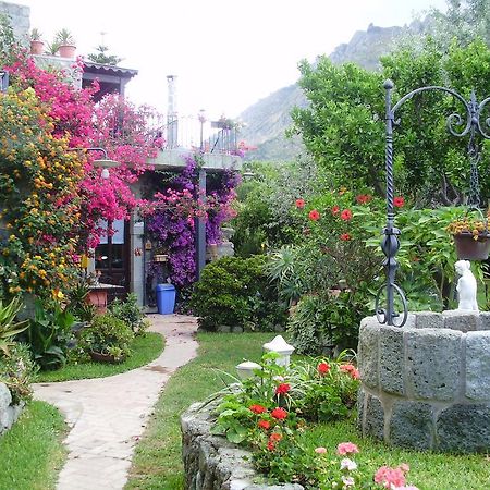 Casa Vacanze Il Pozzo Villa Ischia Island Bagian luar foto