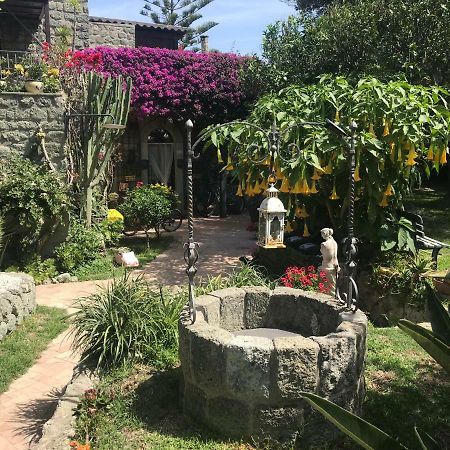 Casa Vacanze Il Pozzo Villa Ischia Island Bagian luar foto