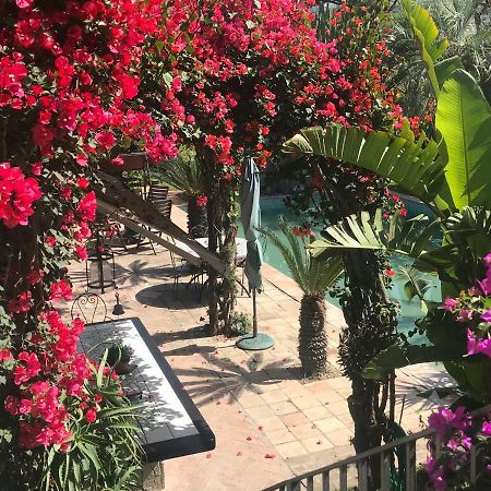 Casa Vacanze Il Pozzo Villa Ischia Island Bagian luar foto