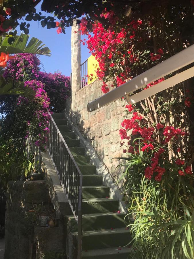 Casa Vacanze Il Pozzo Villa Ischia Island Bagian luar foto