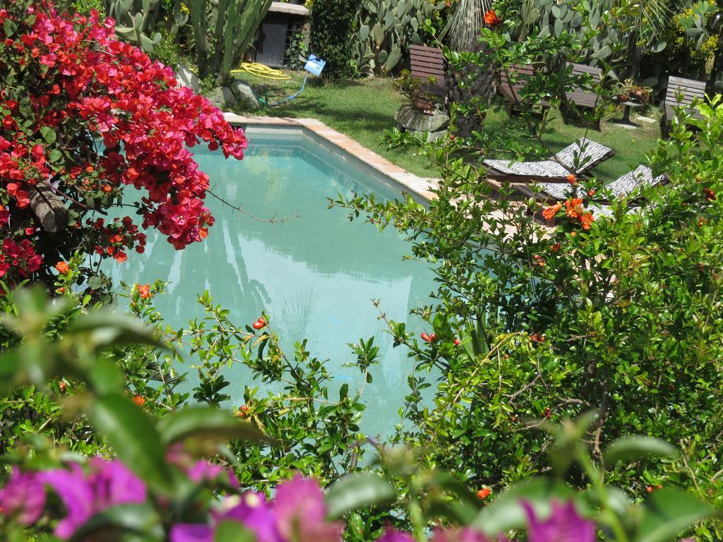 Casa Vacanze Il Pozzo Villa Ischia Island Bagian luar foto