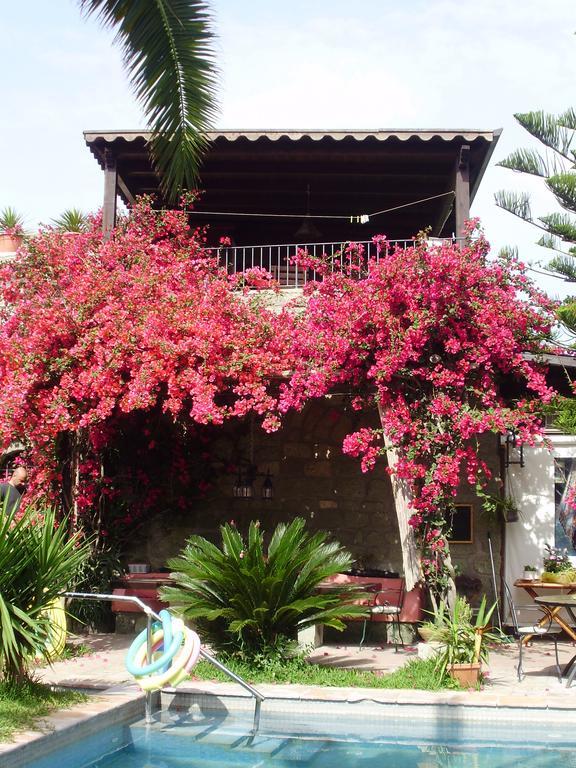 Casa Vacanze Il Pozzo Villa Ischia Island Bagian luar foto