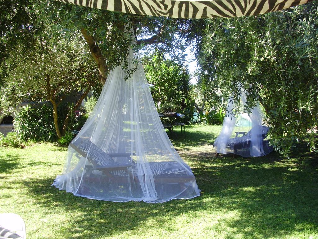 Casa Vacanze Il Pozzo Villa Ischia Island Bagian luar foto