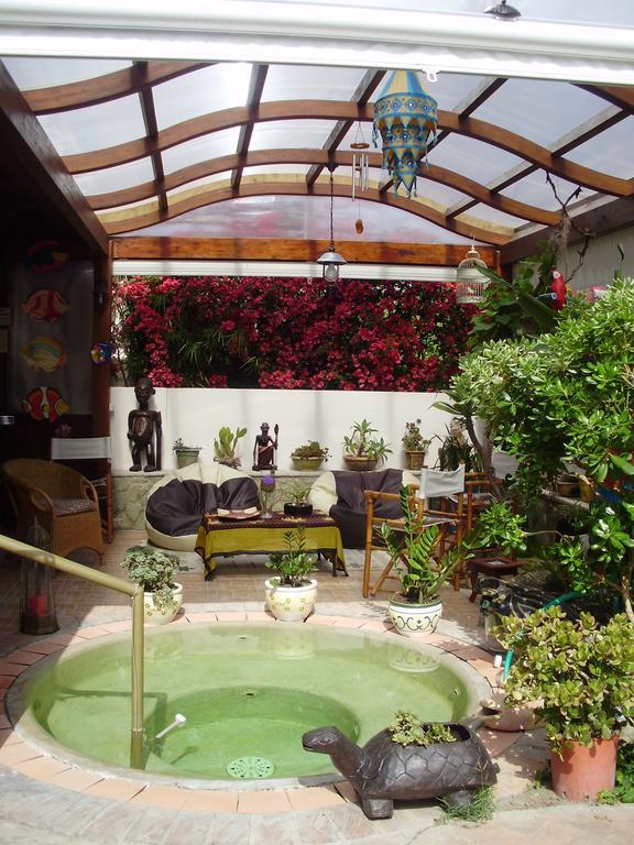Casa Vacanze Il Pozzo Villa Ischia Island Bagian luar foto