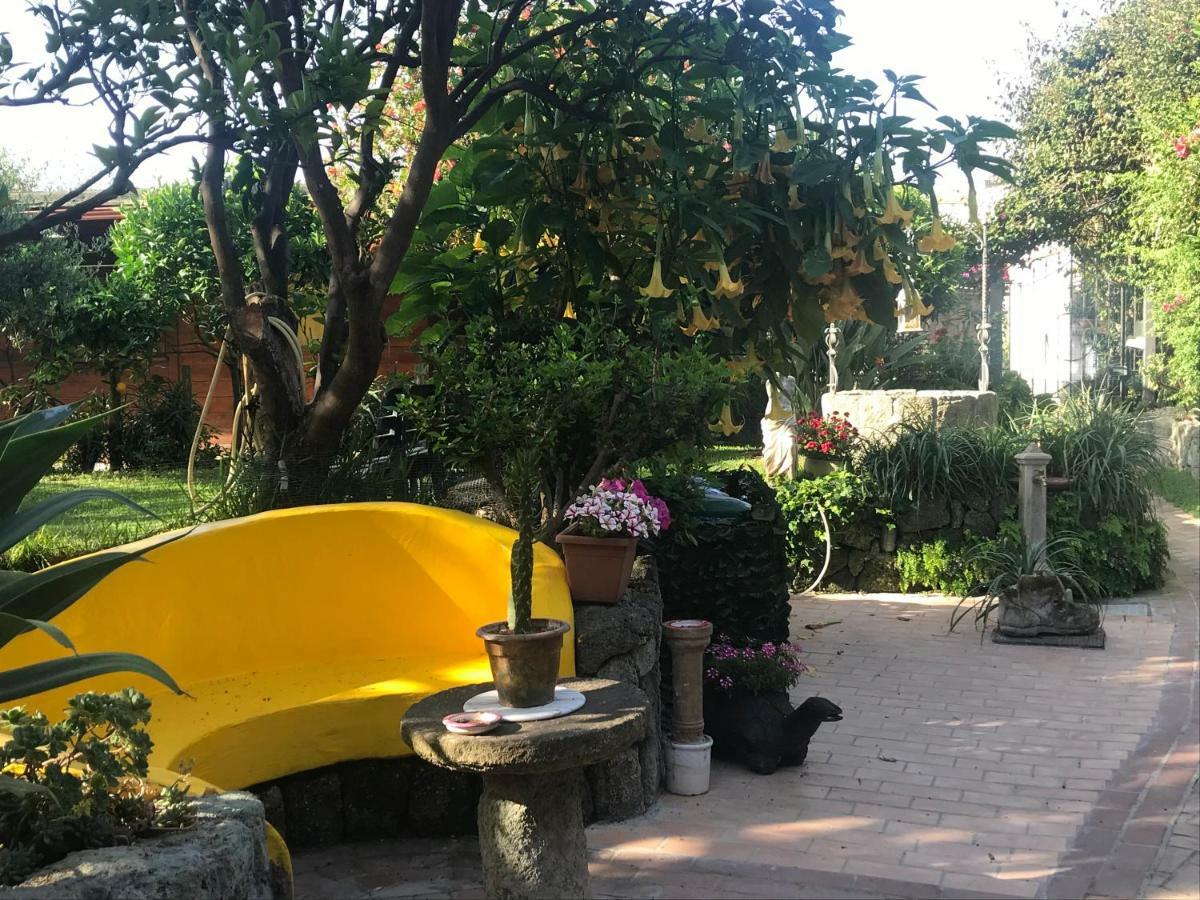 Casa Vacanze Il Pozzo Villa Ischia Island Bagian luar foto