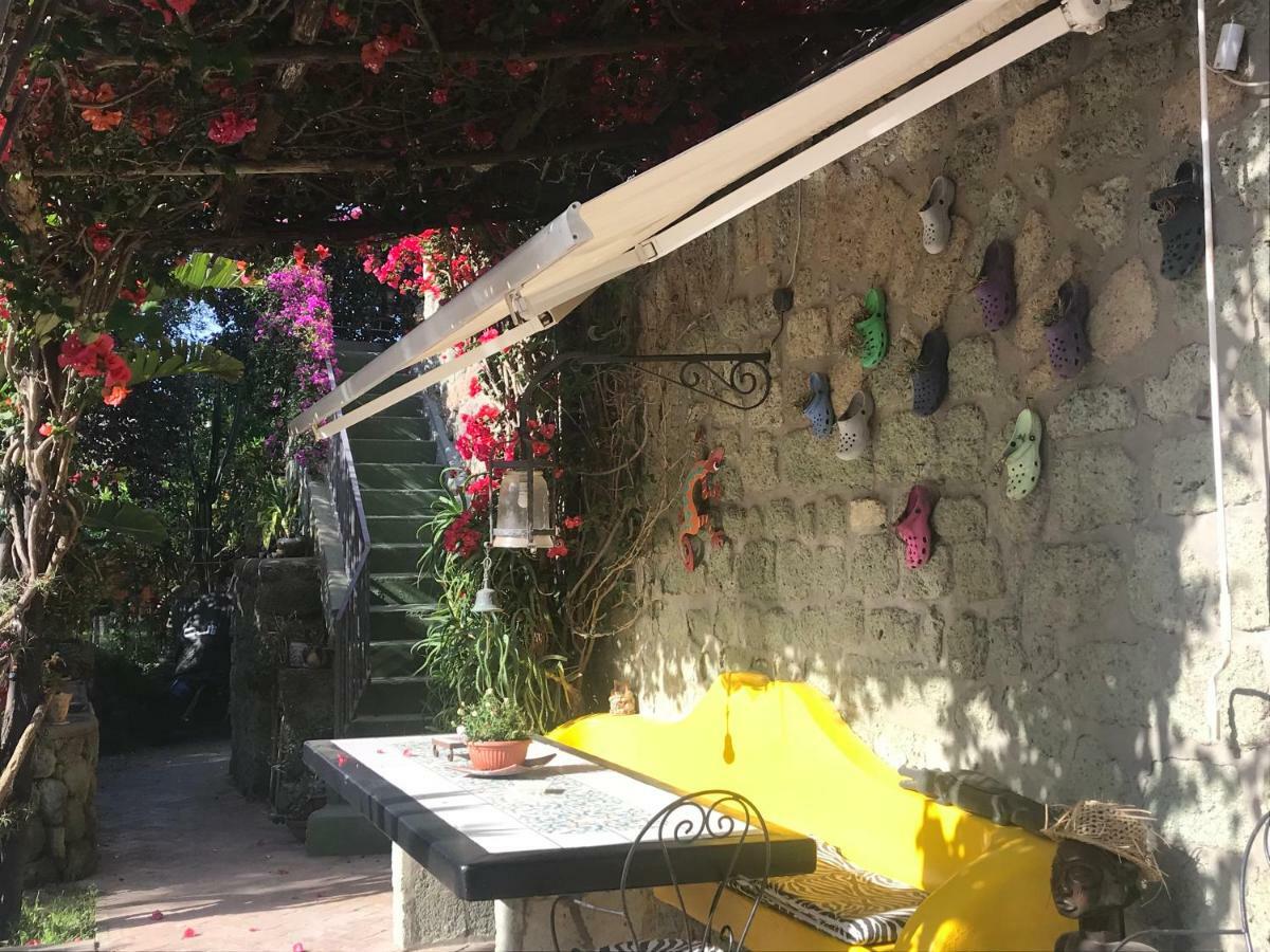 Casa Vacanze Il Pozzo Villa Ischia Island Bagian luar foto
